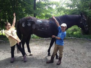 camp- kids washing horse